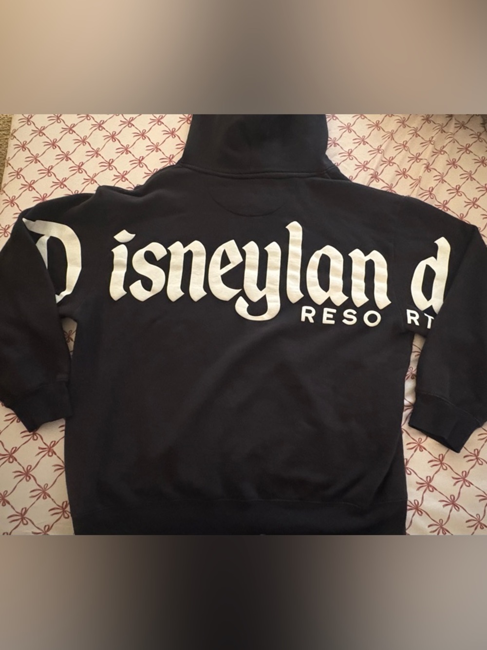 Disneyland Resort Black Hoodie with Bold Embroidered Mickey  Logo